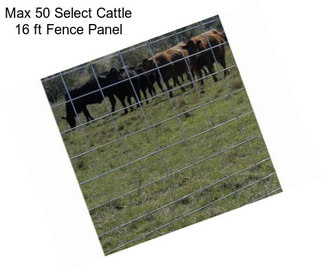 Max 50 Select Cattle 16 ft Fence Panel