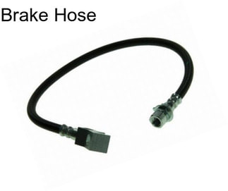 Brake Hose