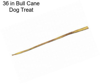 36 in Bull Cane Dog Treat