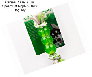 Canine Clean 6.5 in Spearmint Rope & Balls Dog Toy