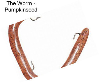 The Worm - Pumpkinseed