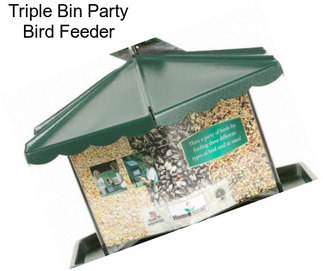 Triple Bin Party Bird Feeder