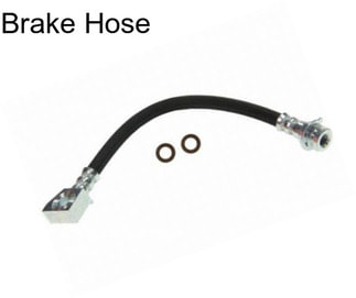 Brake Hose