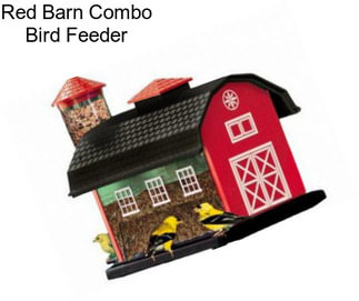 Red Barn Combo Bird Feeder