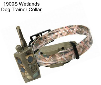 1900S Wetlands Dog Trainer Collar