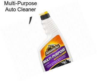 Multi-Purpose Auto Cleaner