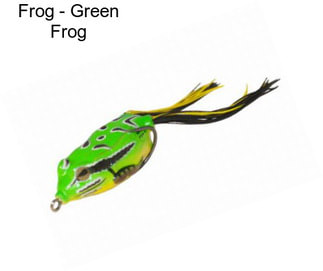 Frog - Green Frog