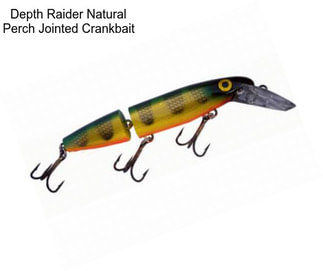 Depth Raider Natural Perch Jointed Crankbait