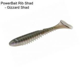 PowerBait Rib Shad - Gizzard Shad