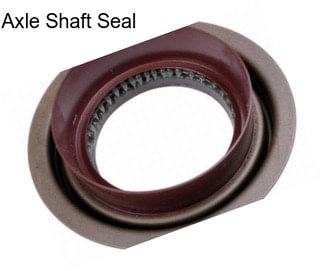 Axle Shaft Seal