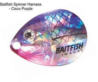 Baitfish Spinner Harness - Cisco Purple