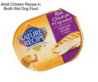 Adult Chicken Recipe in Broth Wet Dog Food