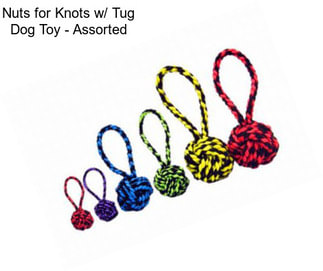 Nuts for Knots w/ Tug Dog Toy - Assorted