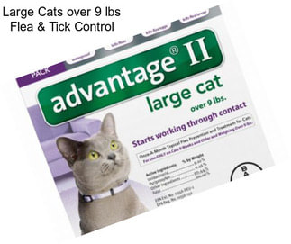 Large Cats over 9 lbs Flea & Tick Control