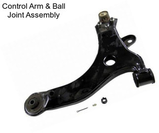 Control Arm & Ball Joint Assembly