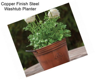 Copper Finish Steel Washtub Planter