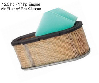 12.5 hp - 17 hp Engine Air Filter w/ Pre-Cleaner