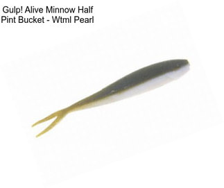 Gulp! Alive Minnow Half Pint Bucket - Wtml Pearl