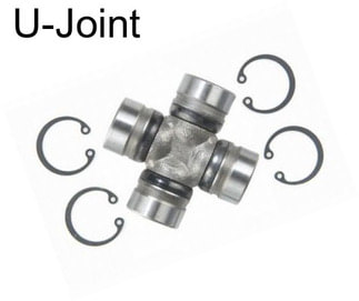 U-Joint