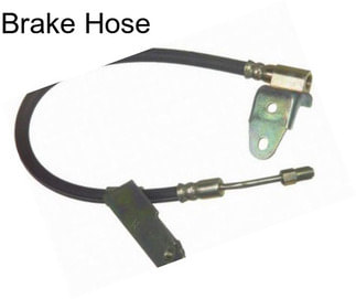 Brake Hose