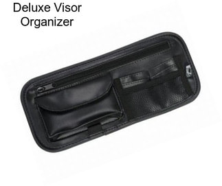 Deluxe Visor Organizer