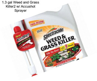 1.3 gal Weed and Grass Killer2 w/ Accushot Sprayer