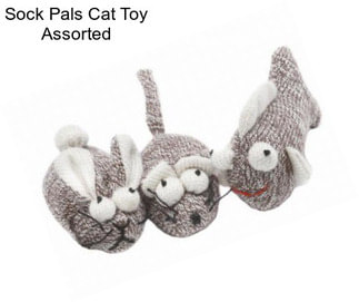 Sock Pals Cat Toy Assorted