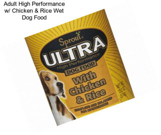 Adult High Performance w/ Chicken & Rice Wet Dog Food