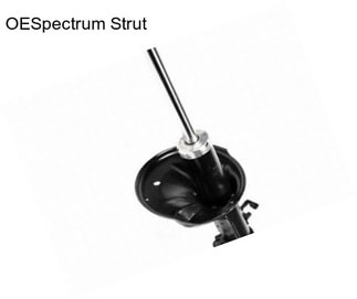 OESpectrum Strut