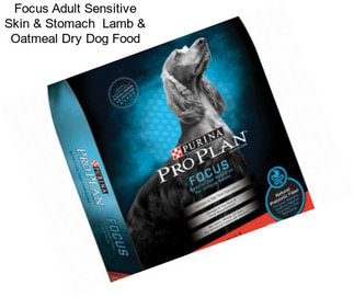 Focus Adult Sensitive Skin & Stomach  Lamb & Oatmeal Dry Dog Food