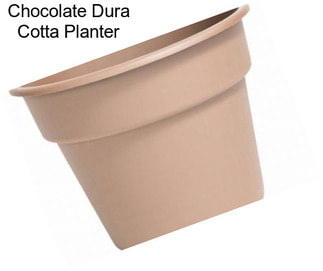 Chocolate Dura Cotta Planter