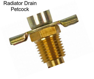 Radiator Drain Petcock