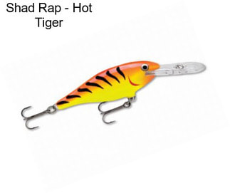 Shad Rap - Hot Tiger