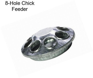 8-Hole Chick Feeder