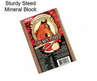 Sturdy Steed Mineral Block