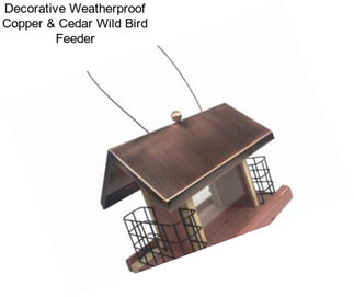 Decorative Weatherproof Copper & Cedar Wild Bird Feeder