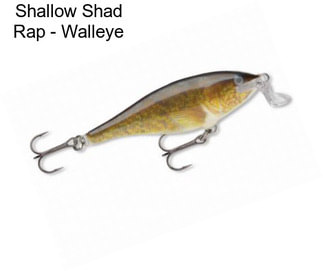 Shallow Shad Rap - Walleye