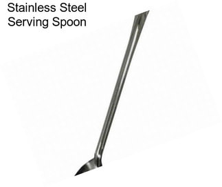 Stainless Steel Serving Spoon