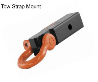 Tow Strap Mount