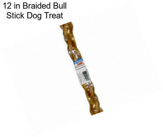 12 in Braided Bull Stick Dog Treat