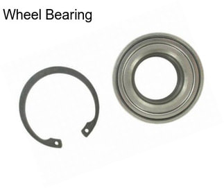 Wheel Bearing