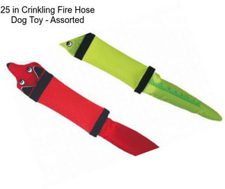 25 in Crinkling Fire Hose Dog Toy - Assorted
