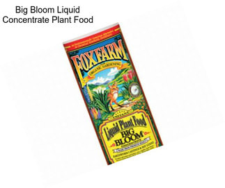 Big Bloom Liquid Concentrate Plant Food