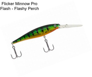 Flicker Minnow Pro Flash - Flashy Perch