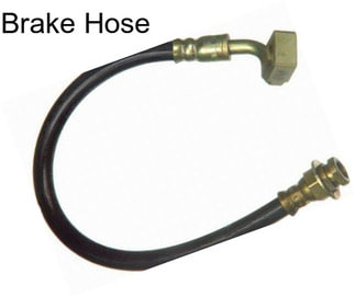 Brake Hose