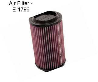 Air Filter - E-1796