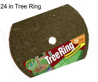 24 in Tree Ring