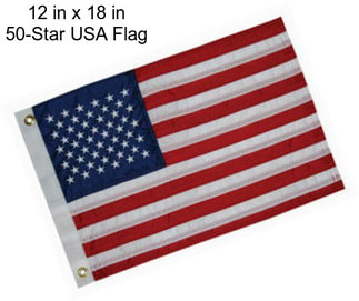 12 in x 18 in 50-Star USA Flag