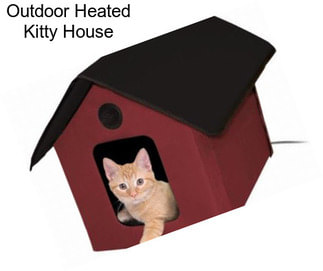 Outdoor Heated Kitty House