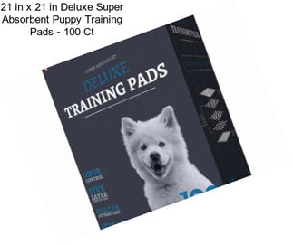 21 in x 21 in Deluxe Super Absorbent Puppy Training Pads - 100 Ct